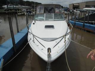 2008 Rinker 260 Express photo 3